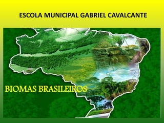 ESCOLA MUNICIPAL GABRIEL CAVALCANTE
BIOMAS BRASILEIROS
 
