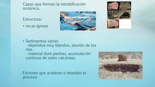 Capas que forman la estratificación
oceánica.
Estructura:
• rocas ígneas
• Sedimentos varían
- depósitos muy blandos, aluvión de los
ríos.
- material duro piedras, acumulación
continua de sales calcáreas.
Factores que aceleran o retardan el
proceso
 