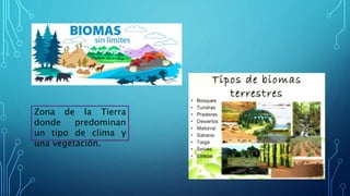 Zona de la Tierra
donde predominan
un tipo de clima y
una vegetación.
