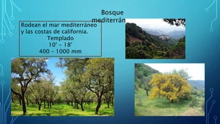 Bosque
mediterráneo
Rodean el mar mediterráneo
y las costas de california.
Templado
10° - 18°
400 – 1000 mm