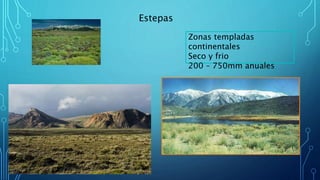 Estepas
Zonas templadas
continentales
Seco y frio
200 – 750mm anuales
 