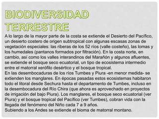 A lo largo de la mayor parte de la costa se extiende el Desierto del Pacífico,
un desierto costero de origen subtropical con algunas escasas zonas de
vegetación especiales: las riberas de los 52 ríos (valle costeño), las lomas y
los humedales (pantanos formados por filtración). En la costa norte, en
cambio, así como los valles interandinos del Marañón y algunos afluentes,
se extiende el bosque seco ecuatorial, un tipo de ecosistema intermedio
entre el matorral xerófilo desértico y el bosque tropical.
En las desembocaduras de los ríos Tumbes y Piura -en menor medida- se
extienden los manglares. En épocas pasadas estos ecosistemas habitaron
todo el litoral desde Sechura hasta el departamento de Tumbes, incluso en
la desembocadura del Río Chira (que ahora es aprovechado en proyectos
de irrigación del bajo Piura). Los manglares, el bosque seco ecuatorial (ver
Piura) y el bosque tropical del Pacífico (ver Tumbes), cobran vida con la
llegada del fenómeno del Niño cada 7 a 9 años.
Subiendo a los Andes se extiende el bioma de matorral montano.
 