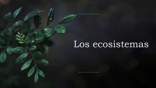 Los ecosistemas
 