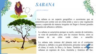 SABANA
1. ¿QUE ES LA SABANA?
• La sabana es un espacio geográfico o ecosistema que se
caracteriza por contar con un clima árido y seco y una vegetación
escasa y esparcida de manera irregular sin llegar a formar grandes
conjuntos de arbustos o árboles.
• La sabana se caracteriza porque su suelo, carente de nutrientes,
se viste de pastizales pero, por las escasas lluvias, estos se
tornan de un color verde claro o amarillo.
• La sabana más extensa del planeta está en el continente
africano y, debido a su gran dimensión, presenta variaciones en
el clima, el suelo, la flora y la fauna. También se encuentran
sabanas en regiones de Asia, Australia y América del Sur.
 