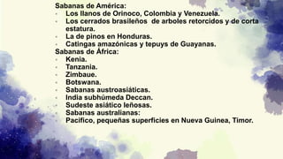 Sabanas de América:
 Los llanos de Orinoco, Colombia y Venezuela.
 Los cerrados brasileños de arboles retorcidos y de corta
estatura.
 La de pinos en Honduras.
 Catingas amazónicas y tepuys de Guayanas.
Sabanas de África:
 Kenia.
 Tanzania.
 Zimbaue.
 Botswana.
 Sabanas austroasiáticas.
 India subhúmeda Deccan.
 Sudeste asiático leñosas.
 Sabanas australianas:
 Pacifico, pequeñas superficies en Nueva Guinea, Timor.
 