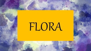 FLORA
 