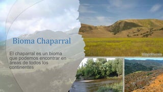 Bioma Chaparral
El chaparral es un bioma
que podemos encontrar en
áreas de todos los
continentes
 