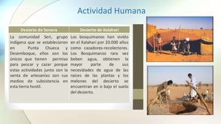 Actividad Humana
 