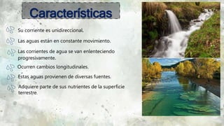 73
Características
Su corriente es unidireccional.
Las aguas están en constante movimiento.
Las corrientes de agua se van enlenteciendo
progresivamente.
Ocurren cambios longitudinales.
Estas aguas provienen de diversas fuentes.
Adquiere parte de sus nutrientes de la superficie
terrestre.
 