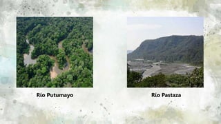 75
Río Putumayo Río Pastaza
 