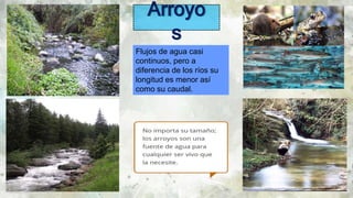 76
Arroyo
s
Flujos de agua casi
continuos, pero a
diferencia de los ríos su
longitud es menor así
como su caudal.
 