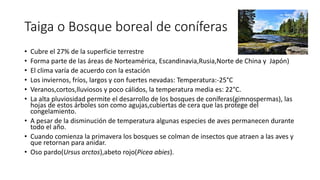 Taiga o Bosque boreal de coníferas
• Cubre el 27% de la superficie terrestre
• Forma parte de las áreas de Norteamérica, Escandinavia,Rusia,Norte de China y Japón)
• El clima varía de acuerdo con la estación
• Los inviernos, fríos, largos y con fuertes nevadas: Temperatura:-25°C
• Veranos,cortos,lluviosos y poco cálidos, la temperatura media es: 22°C.
• La alta pluviosidad permite el desarrollo de los bosques de coníferas(gimnospermas), las
hojas de estos árboles son como agujas,cubiertas de cera que las protege del
congelamiento.
• A pesar de la disminución de temperatura algunas especies de aves permanecen durante
todo el año.
• Cuando comienza la primavera los bosques se colman de insectos que atraen a las aves y
que retornan para anidar.
• Oso pardo(Ursus arctos),abeto rojo(Picea abies).
 