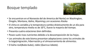 Bosque templado
• Se encuentran en el Noroeste del de America del Norte( en Washington,
Oregón, Montana, Idaho, Wyoming y en ocasiones Alaska
• El clima es variable,y la temperatura cambia drásticamente de un día para
otro, temperatura media es de 10°C, llueve la mayoría del tiempo.
• Presenta cuatro estaciones bien definidas.
• Posee suele ricos nutrientes debido a la descomposición de las hojas.
• Los animales de este bioma presentan adaptaciones como los animales de
la taiga(migración, hibernación,y el almacenamiento de alimentos.
• El búho real(Bubo bubo), roble (Quercus lobata).
 