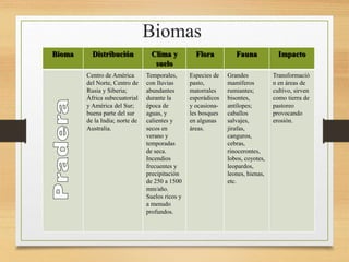 Biomas
Bioma Distribución Clima y
suelo
Flora Fauna Impacto
Centro de América
del Norte, Centro de
Rusia y Siberia;
África subecuatorial
y América del Sur;
buena parte del sur
de la India; norte de
Australia.
Temporales,
con lluvias
abundantes
durante la
época de
aguas, y
calientes y
secos en
verano y
temporadas
de seca.
Incendios
frecuentes y
precipitación
de 250 a 1500
mm/año.
Suelos ricos y
a menudo
profundos.
Especies de
pasto,
matorrales
esporádicos
y ocasiona-
les bosques
en algunas
áreas.
Grandes
mamíferos
rumiantes;
bisontes,
antílopes;
caballos
salvajes,
jirafas,
canguros,
cebras,
rinocerontes,
lobos, coyotes,
leopardos,
leones, hienas,
etc.
Transformació
n en áreas de
cultivo, sirven
como tierra de
pastoreo
provocando
erosión.
 