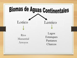 Ríos
Manantial
Arroyos
Lotico Lentico
Lagos
Estanques
Pantanos
Charcos
 