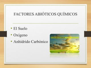 FACTORES ABIÓTICOS QUÍMICOS
• El Suelo
• Oxígeno
• Anhídrido Carbónico
 
