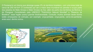 PANTANAL
O Pantanal é um bioma que abrange quase 2% do território brasileiro, com uma área total de
cerca de 250 mil km². É conhecido por ser a maior área inundável do planeta e ocupa parte
dos estados do Mato Grosso e Mato Grosso do Sul, além de parte dos territórios da Bolívia e
do Paraguai. Considerado pela UNESCO "Patrimônio Natural Mundial" e "Reserva da
Biosfera", essa região possui grande biodiversidade. Contudo, muitos animais deste bioma
estão ameaçados de extinção, por exemplo: onça-pintada, onça-parda, cervo-do-pantanal,
arara azul, dentre outros.
 