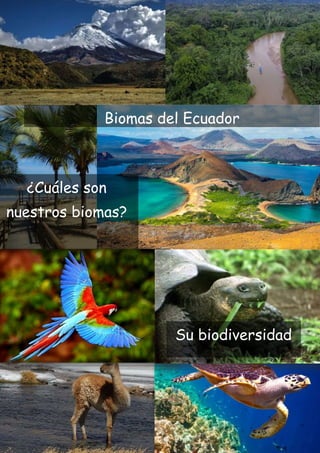 Biomas del Ecuador
¿Cuáles son
nuestros biomas?
Su biodiversidad
 