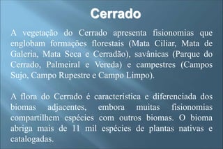 Cerrado
A vegetação do Cerrado apresenta fisionomias que
englobam formações florestais (Mata Ciliar, Mata de
Galeria, Mata Seca e Cerradão), savânicas (Parque do
Cerrado, Palmeiral e Vereda) e campestres (Campos
Sujo, Campo Rupestre e Campo Limpo).
A flora do Cerrado é característica e diferenciada dos
biomas adjacentes, embora muitas fisionomias
compartilhem espécies com outros biomas. O bioma
abriga mais de 11 mil espécies de plantas nativas e
catalogadas.
 