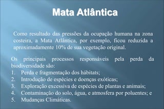 Como resultado das pressões da ocupação humana na zona
costeira, a Mata Atlântica, por exemplo, ficou reduzida a
aproximadamente 10% de sua vegetação original.
Mata Atlântica
Os principais processos responsáveis pela perda da
biodiversidade são:
1. Perda e fragmentação dos hábitats;
2. Introdução de espécies e doenças exóticas;
3. Exploração excessiva de espécies de plantas e animais;
4. Contaminação do solo, água, e atmosfera por poluentes; e
5. Mudanças Climáticas.
 