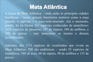 Mata Atlântica
A fauna da Mata Atlântica – onde estão as principais cidades
brasileiras – inclui animais brasileiros notórios como a onça
pintada, a capivara e o mico-leão-dourado. Até o momento,
porém, há no bioma 261 espécies conhecidas de mamíferos;
1020 espécies de pássaros; 197 de répteis; 340 de anfíbios; e
350 de peixes – sem mencionar os insetos e demais
invertebrados.
Ademais, das 1711 espécies de vertebrados que vivem na
Mata Atlântica, 700 são endêmicas – sendo 55 espécies de
mamíferos, 188 de aves, 60 de répteis, 90 de anfíbios e 133 de
peixes.
 