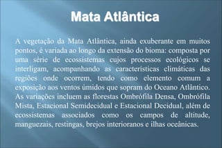 A vegetação da Mata Atlântica, ainda exuberante em muitos
pontos, é variada ao longo da extensão do bioma: composta por
uma série de ecossistemas cujos processos ecológicos se
interligam, acompanhando as características climáticas das
regiões onde ocorrem, tendo como elemento comum a
exposição aos ventos úmidos que sopram do Oceano Atlântico.
As variações incluem as florestas Ombrófila Densa, Ombrófila
Mista, Estacional Semidecidual e Estacional Decidual, além de
ecossistemas associados como os campos de altitude,
manguezais, restingas, brejos interioranos e ilhas oceânicas.
Mata Atlântica
 