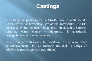 Caatinga
A Caatinga ocupa uma área de 844.453 km²: a totalidade do
Ceará e parte dos territórios – em ordem decrescente – de Rio
Grande do Norte, Paraíba, Pernambuco, Piauí, Bahia, Sergipe,
Alagoas, Minas Gerais e Maranhão. É constituída
principalmente por savana estépica.
Único bioma exclusivamente brasileiro, a Caatinga cobre
aproximadamente 11% do território nacional e abriga 28
milhões de pessoas em sua área original
 