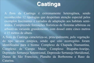Caatinga
A flora da Caatinga é extremamente heterogênea, sendo
reconhecidas 12 tipologias que despertam atenção especial pelos
exemplos fascinantes e variados de adaptação aos habitats semi-
áridos. Compreende formações florísticas de florestas arbóreas ou
arbustivas variando grandemente, com dossel entre cinco metros
e 15 metros de altura.
A flora da Caatinga caracteriza-se, principalmente, pela vegetação
do tipo savana estépica, sendo que oito ecorregiões foram
identificadas para o bioma: Complexo da Chapada Diamantina,
Complexo de Campo Maior, Complexo Ibiapaba-Araripe,
Depressão Sertaneja Setentrional, Depressão Sertaneja Meridional,
Dunas de São Francisco, Planalto da Borborema e Raso da
Catarina.
 