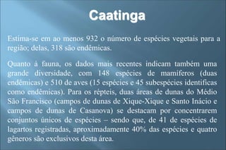 Estima-se em ao menos 932 o número de espécies vegetais para a
região; delas, 318 são endêmicas.
Quanto à fauna, os dados mais recentes indicam também uma
grande diversidade, com 148 espécies de mamíferos (duas
endêmicas) e 510 de aves (15 espécies e 45 subespécies identificas
como endêmicas). Para os répteis, duas áreas de dunas do Médio
São Francisco (campos de dunas de Xique-Xique e Santo Inácio e
campos de dunas de Casanova) se destacam por concentrarem
conjuntos únicos de espécies – sendo que, de 41 de espécies de
lagartos registradas, aproximadamente 40% das espécies e quatro
gêneros são exclusivos desta área.
Caatinga
 