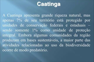 A Caatinga apresenta grande riqueza natural, mas
apenas 7% de seu território está protegido por
unidades de conservação federais e estaduais –
sendo somente 1% como unidade de proteção
integral. Embora algumas comunidades da região
produzam em bases sustentáveis, a maior parte das
atividades relacionadas ao uso da biodiversidade
ocorre de modo predatório.
Caatinga
 