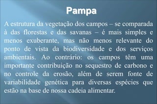 A estrutura da vegetação dos campos – se comparada
à das florestas e das savanas – é mais simples e
menos exuberante, mas não menos relevante do
ponto de vista da biodiversidade e dos serviços
ambientais. Ao contrário: os campos têm uma
importante contribuição no sequestro de carbono e
no controle da erosão, além de serem fonte de
variabilidade genética para diversas espécies que
estão na base de nossa cadeia alimentar.
Pampa
 
