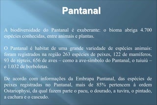 A biodiversidade do Pantanal é exuberante: o bioma abriga 4.700
espécies conhecidas, entre animais e plantas.
O Pantanal é habitat de uma grande variedade de espécies animais:
foram registrados na região 263 espécies de peixes, 122 de mamíferos,
93 de répteis, 656 de aves – como a ave-símbolo do Pantanal, o tuiuiú –
e 1.032 de borboletas.
De acordo com informações da Embrapa Pantanal, das espécies de
peixes registradas no Pantanal, mais de 85% pertencem à ordem
Ostariophysi, da qual fazem parte o pacu, o dourado, a tuvira, o pintado,
a cachara e o cascudo.
Pantanal
 