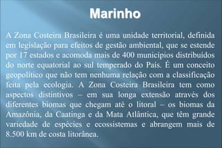 A Zona Costeira Brasileira é uma unidade territorial, definida
em legislação para efeitos de gestão ambiental, que se estende
por 17 estados e acomoda mais de 400 municípios distribuídos
do norte equatorial ao sul temperado do País. É um conceito
geopolítico que não tem nenhuma relação com a classificação
feita pela ecologia. A Zona Costeira Brasileira tem como
aspectos distintivos – em sua longa extensão através dos
diferentes biomas que chegam até o litoral – os biomas da
Amazônia, da Caatinga e da Mata Atlântica, que têm grande
variedade de espécies e ecossistemas e abrangem mais de
8.500 km de costa litorânea.
Marinho
 