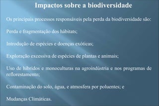 Impactos sobre a biodiversidade
Os principais processos responsáveis pela perda da biodiversidade são:
Perda e fragmentação dos hábitats;
Introdução de espécies e doenças exóticas;
Exploração excessiva de espécies de plantas e animais;
Uso de híbridos e monoculturas na agroindústria e nos programas de
reflorestamento;
Contaminação do solo, água, e atmosfera por poluentes; e
Mudanças Climáticas.
 