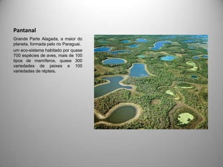 Pantanal
Grande Parte Alagada, a maior do
planeta, formada pelo rio Paraguai.
um eco-sistema habitado por quase
700 espécies de aves, mais de 100
tipos de mamíferos, quase 300
variedades de peixes e 100
variedades de répteis.
 