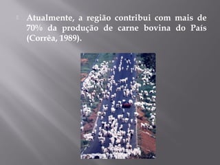  Atualmente, a região contribui com mais de
70% da produção de carne bovina do País
(Corrêa, 1989).
 