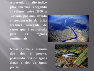  Apresenta um alto índice
pluviométrico chegando
a valores entre 1800 a
3600mm por ano, devido
a condensação da brisa
oceânica carregada de
vapor que é empurrada
para as regiões
continentais.
 Nesse bioma a maioria
dos rios é perene,
possuindo rios de águas
claras e rios de águas
pretas.
 