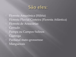  Floresta Amazônica (Hiléia)
 Floresta Pluvial Costeira (Floresta Atlântica)
 Floresta de Araucárias
 Cerrado
 Pampa ou Campos Sulinos
 Caatinga
 Pantanal mato-grossensse
 Manguezais
 