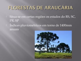  Situa-se em certas regiões os estados do RS, SC,
PR, SP
 Índices pluviométricos em torno de 1400mm
anuais
 