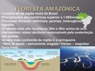 •Localiza-se na região norte do Brasil
•Precipitações pluviométricas superior a 1.800mm/ano
•Formação florestal: latifoliada, perenes, heterogênea,
higrófila
•O estrato mais alto localiza-se 30m e 40m acima do solo
•Apresentam raízes tabulares responsáveis pela sustentação
das plantas
•Árvore mais conhecida da região é a seringueira
• Mata de Igapó – permanente alagada / Várzea – alagadas/
Terra Fime.
 