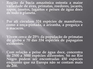 Região da bacia amazônica ostenta a maior
variedade de aves, primatas, roedores, jacarés,
sapos, insetos, lagartos e peixes de água doce
de todo o planeta.
 Por ali circulam 324 espécies de mamíferos,
como a onça-pintada, a ariranha, a preguiça e
o macacos.
 Vivem cerca de 25% da população de primatas
do globo e 70 das 334 espécies de papagaios
existentes.
 Com relação a peixe de água doce, concentra
de 2500 a 3000 espécies diferentes. Só no Rio
Negro podem ser encontradas 450 espécies
enquanto que na Europa não se contam mais
de 200.
 