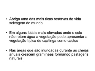 • Abriga uma das mais ricas reservas de vida 
selvagem do mundo 
• Em alguns locais mais elevados onde o solo 
não retém água a vegetação pode apresentar a 
vegetação típica de caatinga como cactus 
• Nas áreas que são inundadas durante as cheias 
anuais crescem gramíneas formando pastagens 
naturais 
 