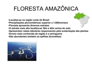 FLORESTA AMAZÔNICA 
•Localiza-se na região norte do Brasil 
•Precipitações pluviométricas superior a 1.800mm/ano 
•Floresta apresenta diversos estratos 
•O estrato mais alto localiza-se 30m e 40m acima do solo 
•Apresentam raízes tabulares responsáveis pela sustentação das plantas 
•Árvore mais conhecida da região é a seringueira 
•São abundantes também as epífitas (bromélias) 
 