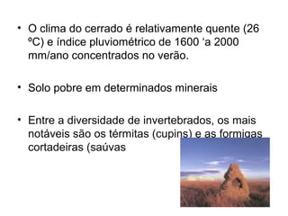 • O clima do cerrado é relativamente quente (26 
ºC) e índice pluviométrico de 1600 ‘a 2000 
mm/ano concentrados no verão. 
• Solo pobre em determinados minerais 
• Entre a diversidade de invertebrados, os mais 
notáveis são os térmitas (cupins) e as formigas 
cortadeiras (saúvas 
 