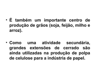 • É também um importante centro de 
produção de grãos (soja, feijão, milho e 
arroz). 
• Como uma atividade secundária, 
grandes extensões de cerrado são 
ainda utilizadas na produção de polpa 
de celulose para a indústria de papel. 
 