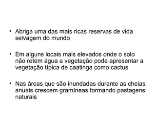 • Abriga uma das mais ricas reservas de vida 
selvagem do mundo 
• Em alguns locais mais elevados onde o solo 
não retém água a vegetação pode apresentar a 
vegetação típica de caatinga como cactus 
• Nas áreas que são inundadas durante as cheias 
anuais crescem gramíneas formando pastagens 
naturais 
 
