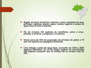  Região da bacia amazônica ostenta a maior variedade de aves,
primatas, roedores, jacarés, sapos, insetos, lagartos e peixes de
água doce de todo o planeta.
 Por ali circulam 324 espécies de mamíferos, como a onça-
pintada, a ariranha, a preguiça e o macacos.
 Vivem cerca de 25% da população de primatas do globo e 70
das 334 espécies de papagaios existentes.
 Com relação a peixe de água doce, concentra de 2500 a 3000
espécies diferentes. Só no Rio Negro podem ser encontradas
450 espécies enquanto que na Europa não se contam mais de
200.
 
