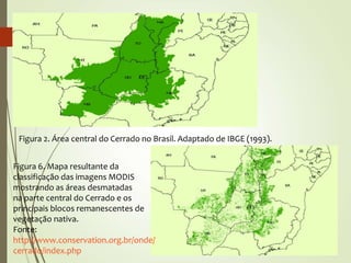 Figura 2. Área central do Cerrado no Brasil. Adaptado de IBGE (1993).
Figura 6. Mapa resultante da
classificação das imagens MODIS
mostrando as áreas desmatadas
na parte central do Cerrado e os
principais blocos remanescentes de
vegetação nativa.
Fonte:
http://www.conservation.org.br/onde/
cerrado/index.php
 