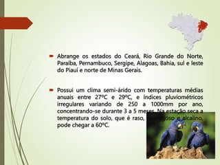  Abrange os estados do Ceará, Rio Grande do Norte,
Paraíba, Pernambuco, Sergipe, Alagoas, Bahia, sul e leste
do Piauí e norte de Minas Gerais.
 Possui um clima semi-árido com temperaturas médias
anuais entre 27ºC e 29ºC, e índices pluviométricos
irregulares variando de 250 a 1000mm por ano,
concentrando-se durante 3 a 5 meses. Na estação seca a
temperatura do solo, que é raso, pedregoso e alcalino,
pode chegar a 60ºC.
 