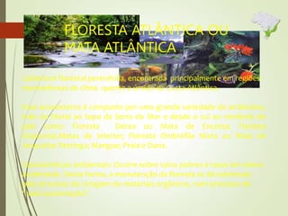 FLORESTA ATLÂNTICA OU
MATA ATLÂNTICA
Cobertura florestal perenifolia, encontrada principalmente em regiões
montanhosas de clima quente e úmido da Costa Atlântica.
Esse ecossistema é composto por uma grande variedade de ambientes,
indo do litoral ao topo da Serra do Mar e desde o sul ao nordeste do
país como: Floresta Densa ou Mata de Encosta; Floresta
Estacional,Matas de Interior; Floresta Ombrófila Mista ou Mata de
Araucária; Restinga; Mangue; Praia e Duna.
Características ambientais: Ocorre sobre solos pobres e rasos em relevo
acidentado. Desta forma, a manutenção da floresta se dá sobretudo
pelo processo de ciclagem do materiais orgânicos, num processo de
“auto sustentação”.
 